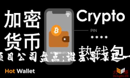 区块链垄断项目公司盘点:谁主导了这一领域的未来?