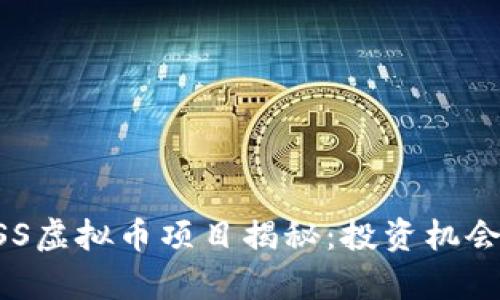 2023年MISS虚拟币项目揭秘：投资机会与风险分析