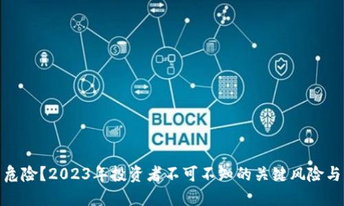 炒虚拟币危险？2023年投资者不可不知的关键风险与应对策略