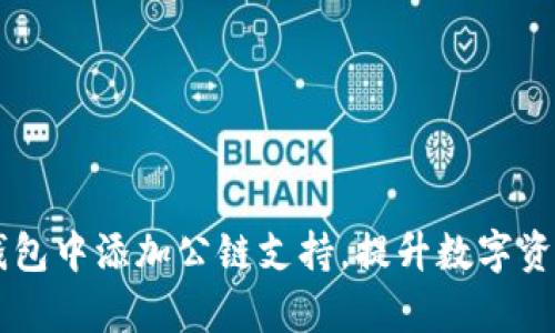 如何在IM钱包中添加公链支持，提升数字资产管理效率