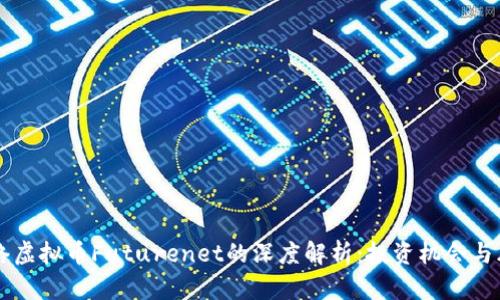 未来网络虚拟币Futurenet的深度解析：投资机会与风险分析