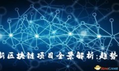 2021年最新区块链项目全景解析：趋势与机遇并存
