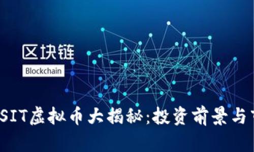 2023年SIT虚拟币大揭秘：投资前景与市场分析