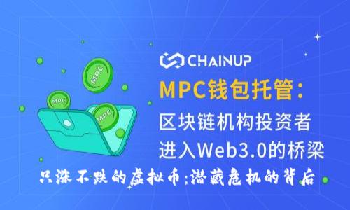 只涨不跌的虚拟币：潜藏危机的背后