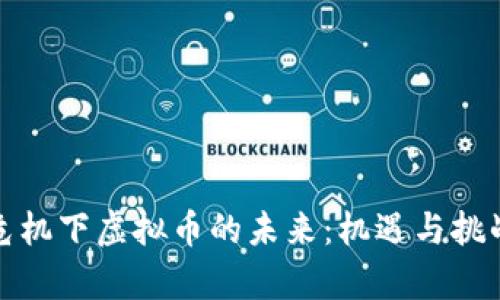 经济危机下虚拟币的未来：机遇与挑战并存