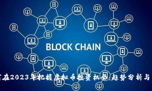 如何在2023年把握虚拟币投资机会：趋势分析与策略