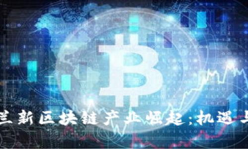 乌克兰新区块链产业崛起:机遇与挑战