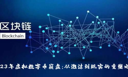 2023年虚拟数字币崩盘：从泡沫到现实的重塑之路