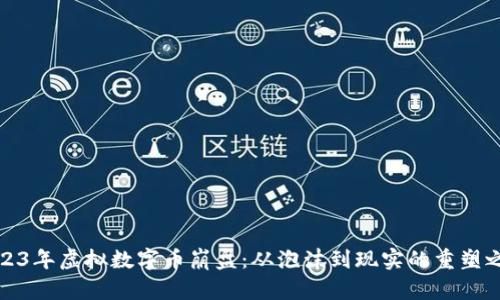 2023年虚拟数字币崩盘：从泡沫到现实的重塑之路