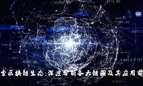 探索区块链生态：深度分析各大链圈及其应用前景