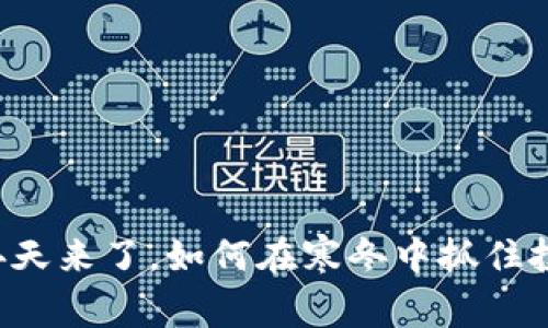 虚拟币冬天来了,如何在寒冬中抓住投资机会?