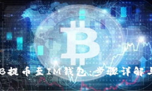 如何将BNB提币至IM钱包:步骤详解与注意事项