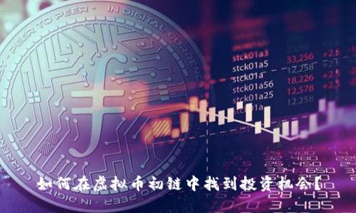 如何在虚拟币初链中找到投资机会?