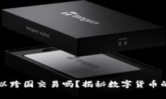 虚拟币可以跨国交易吗？揭秘数字货币的国际市