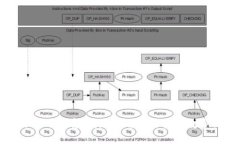 快速下载 imToken 官网：iOS 用户的全新数字钱包使