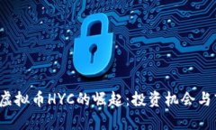 2023年虚拟币HYC的崛起：投资机会与市场分析