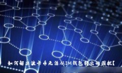 如何解决波卡币无法从IM钱包转出的困扰？
