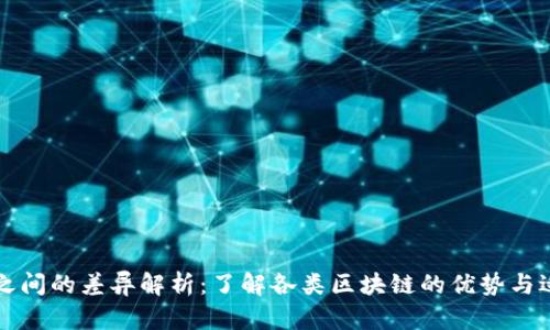 区块链之间的差异解析：了解各类区块链的优势与适用场景