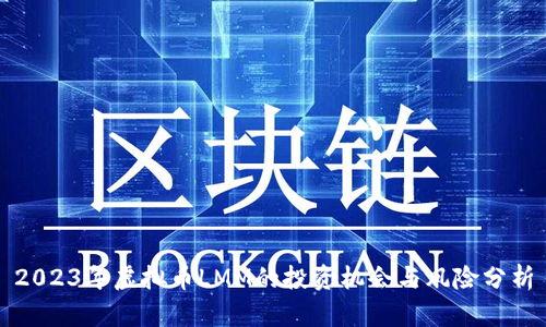 2023年虚拟币LMM的投资机会与风险分析
