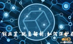 虚拟币热潮与“割韭菜”现象解析：如何保护自