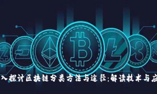 深入探讨区块链分类方法与途径：解读技术与应用