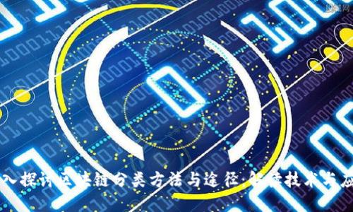 深入探讨区块链分类方法与途径：解读技术与应用
