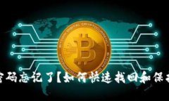 imToken支付密码忘记了？如何快速找回和保护你的