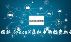 2023年最新揭秘：SpaceX虚拟币的投资机会与风险分
