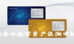 虚拟币乱象治理：在当今数字资产浪潮中如何守