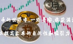   如何获取和管理虚拟币授权码：新手指南及风险